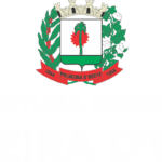 Logo Palmeira Luide Branco