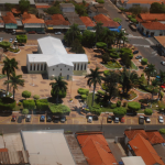 topo palmeira